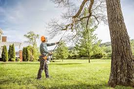 Seasonal Cleanup (Spring/Fall) in Mountain View Ranches, AZ